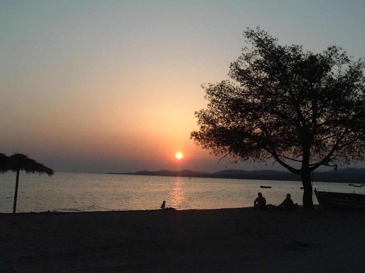 Finikas Garden Beach Resort Nikiti Exterior foto